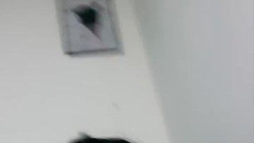 Pamer Jembut Memeknya Helenacrln Cakep