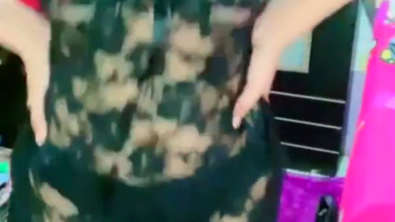 Mango Olive 12 3 2021